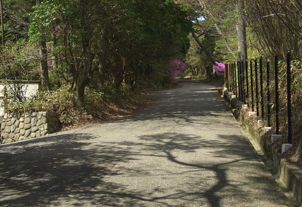 六甲別荘地の道