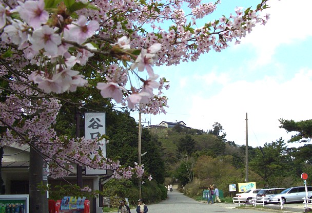 谷口商店前