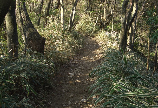 東六甲縦走路