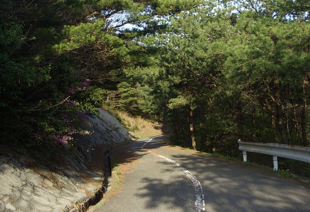 大平山の林道