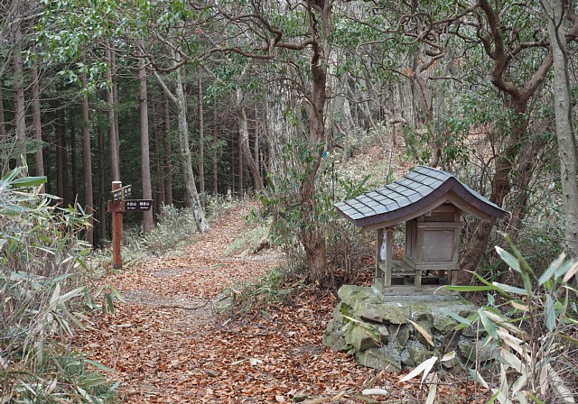 巻き道分岐