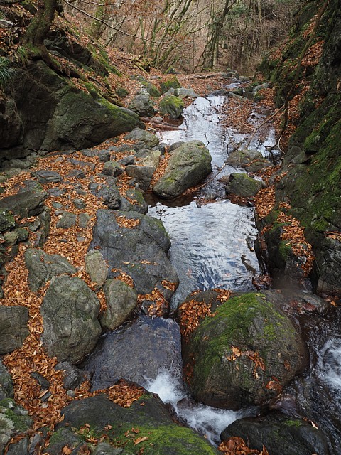 水面