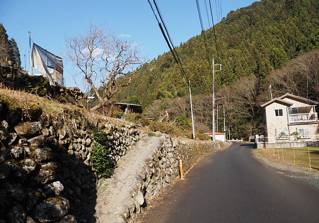 上養沢