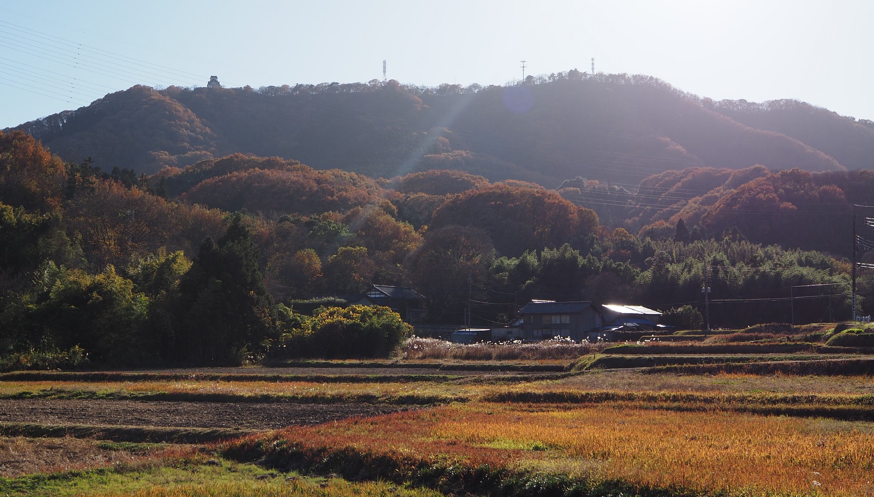 牛伏山