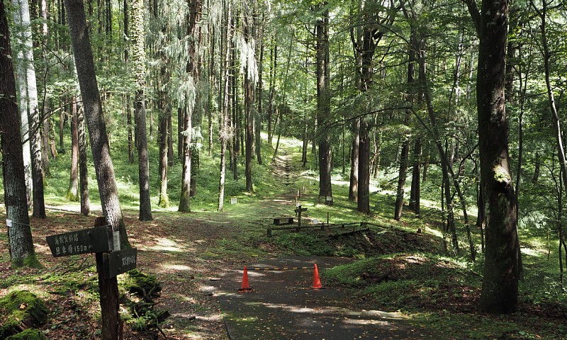 小根山森林公園