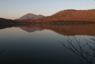 小沼