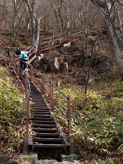 登山道