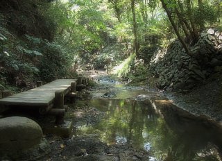 前田川遊歩道