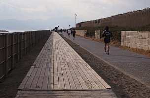 太平洋岸自転車道