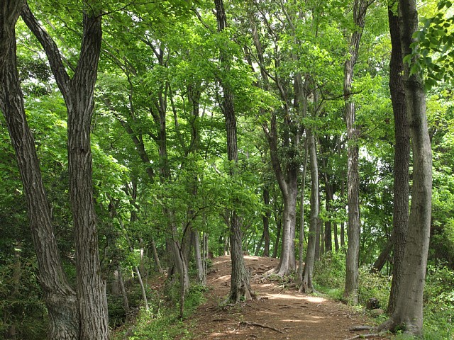 白山順礼峠ハイキングコース