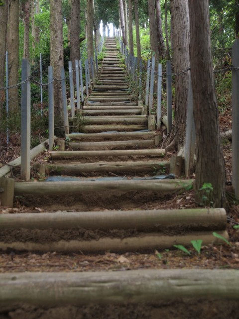 丸木階段