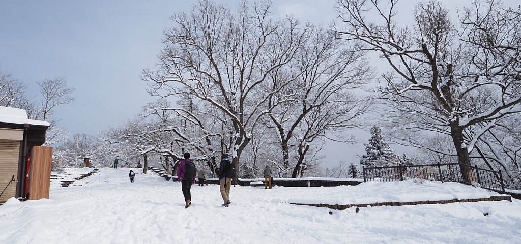 雪の日の高尾山山頂