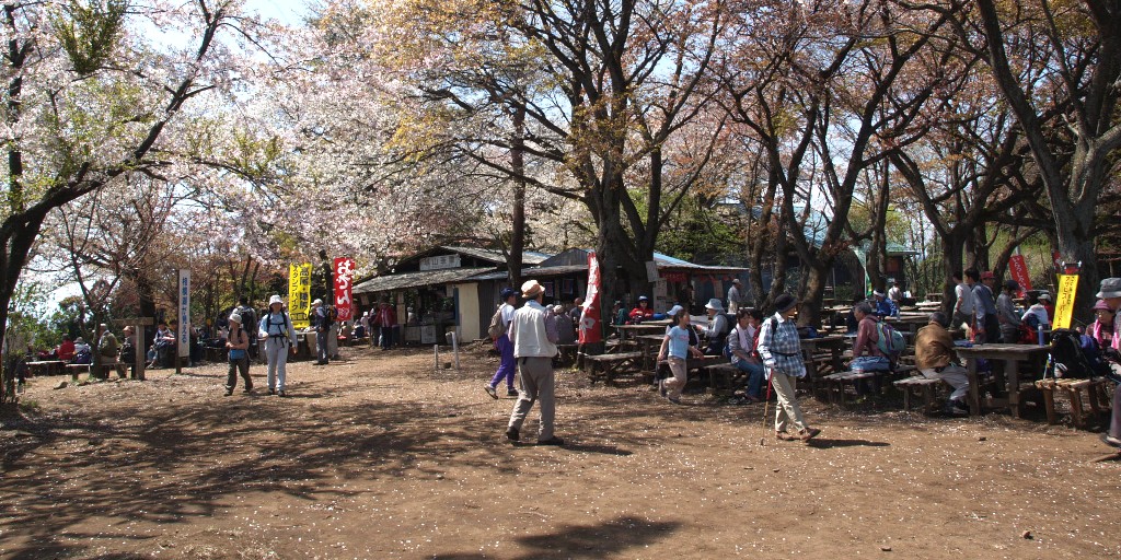 城山山頂