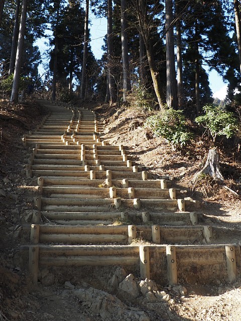 丸木階段
