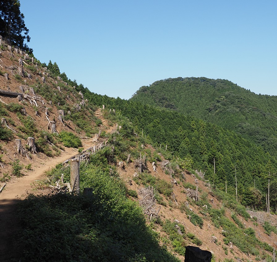 岩茸石山