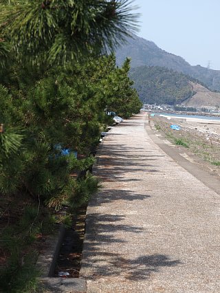 はまなすパーク海水浴場