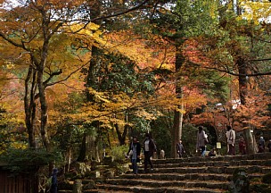 高源寺参道