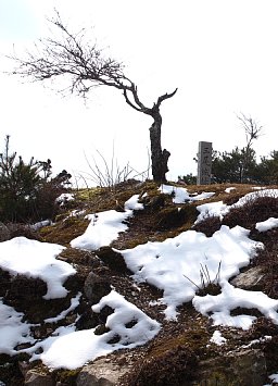 三尾山山頂