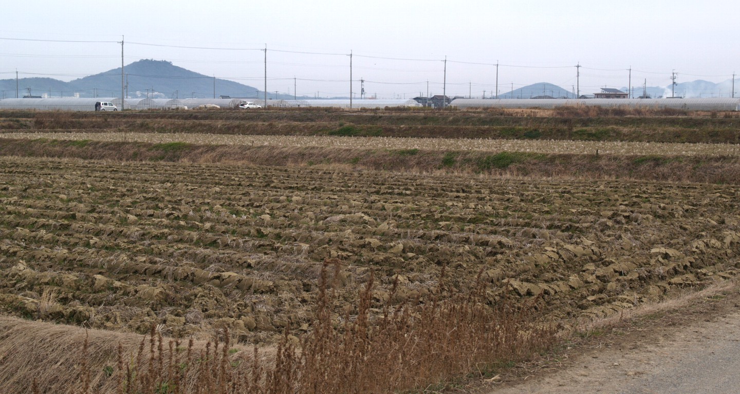 雄岡山と雌岡山