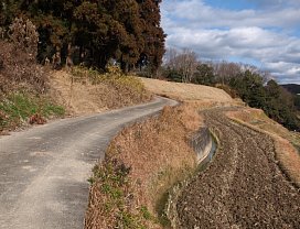 棚田地帯