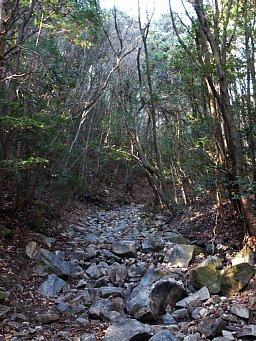 登山道