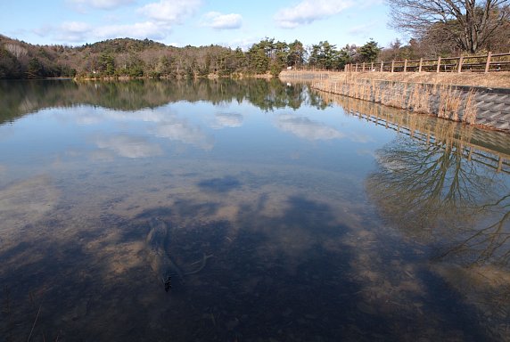 中山大杣池