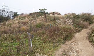 六甲山頂