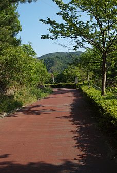 湖岸遊歩道