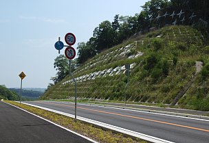 県道85号