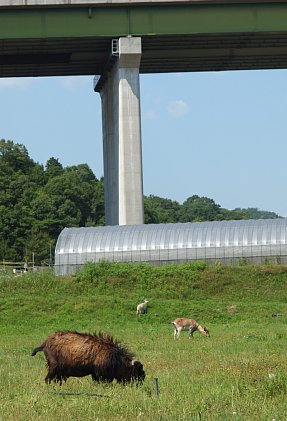 山陽自動車道