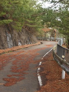 権現ダム周遊路