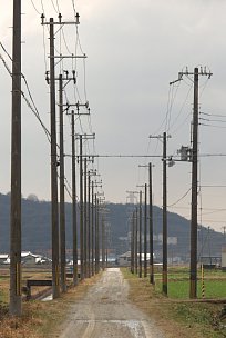 田園の電柱