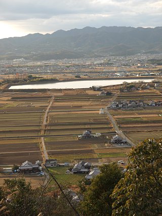 大沢池