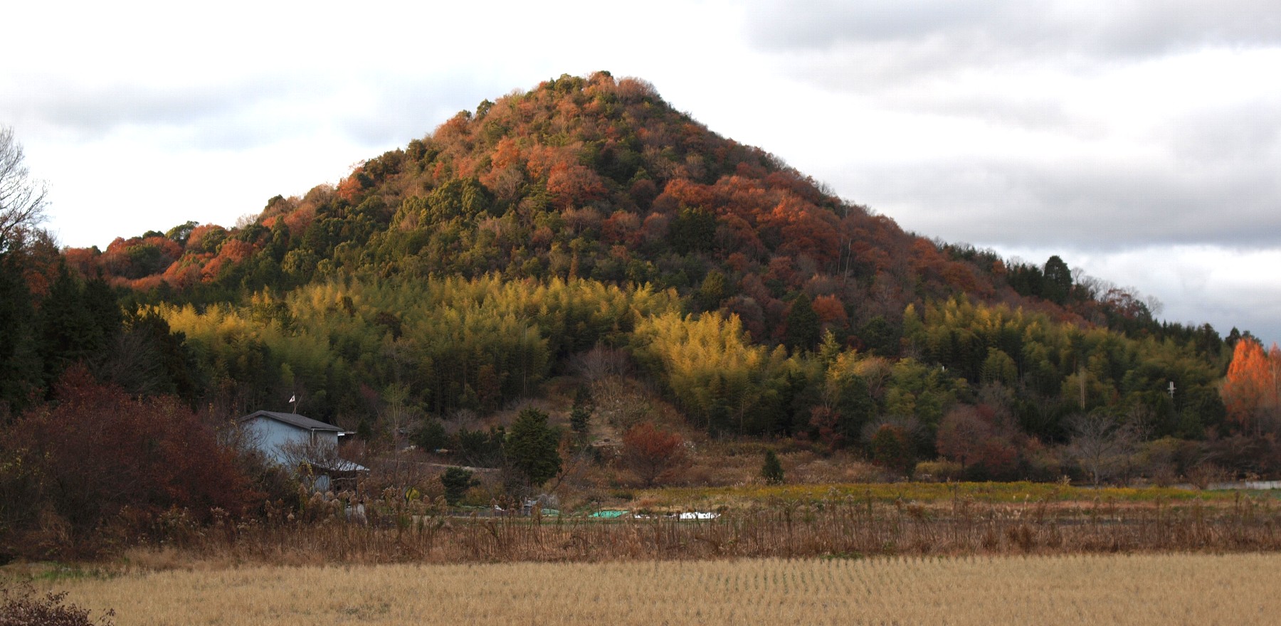 春日山