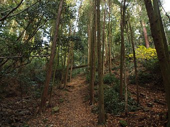 刀出坂参道