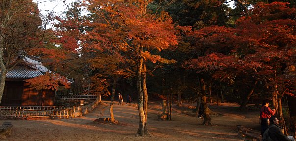 圓教寺展望公園