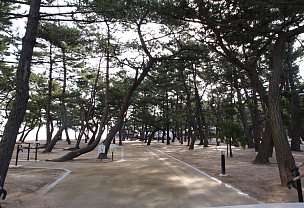 大浜公園