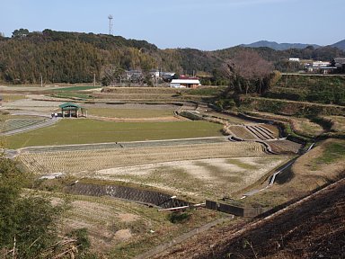 広田