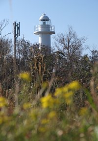 沼島灯台