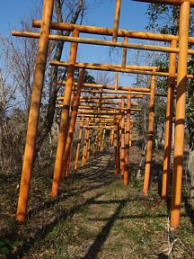 山ノ大神社