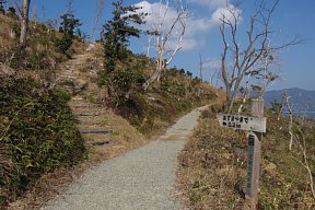 あずま屋分岐