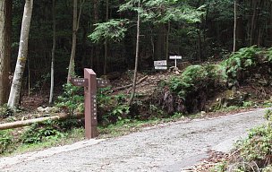 半国山登山口