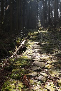 大洞山登山道