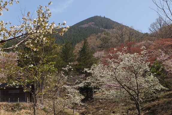 大洞山雄岳