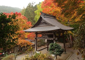 泰運寺