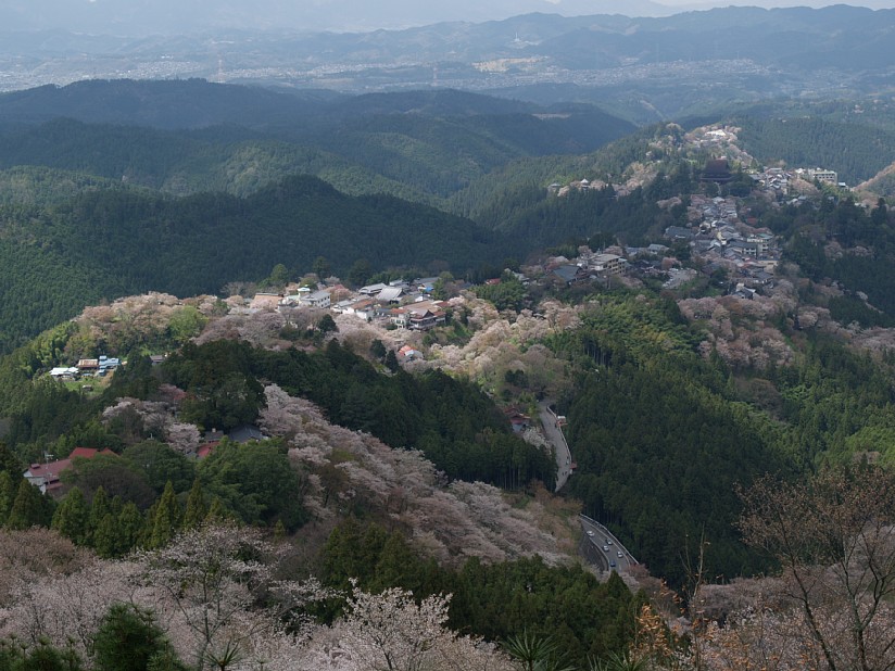 桜の吉野山