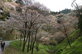 温泉谷