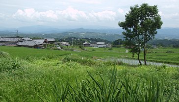 久留野の棚田