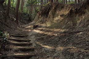 高天へ続く山道