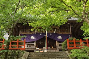 高鴨神社